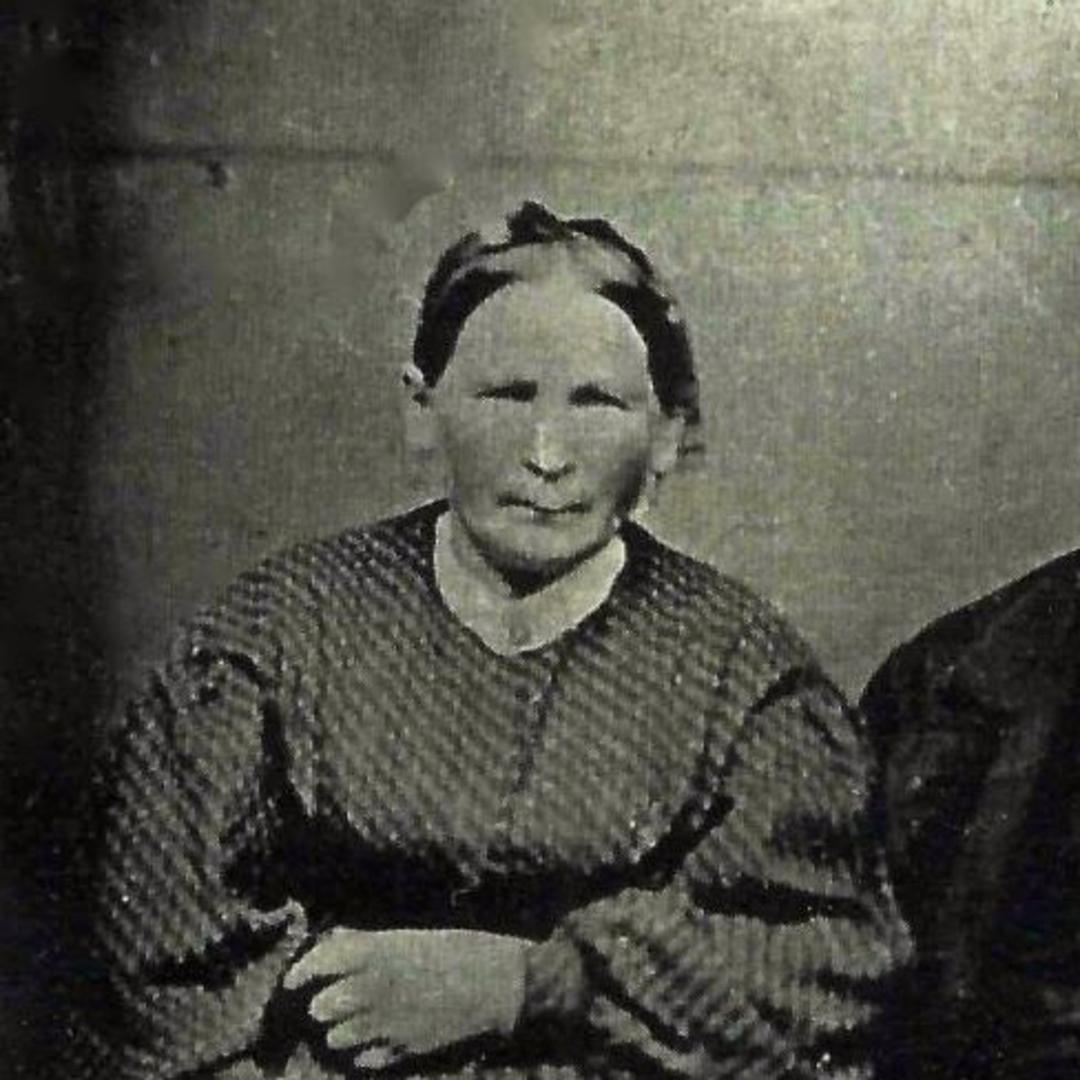 Elna Pehrsson Olson (1817 - 1884) Profile